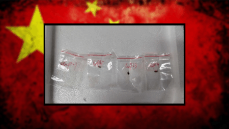 Three Chinese Nationals Working at U-Michigan Charged with Attempting to Smuggle Roundworms into the U.S.