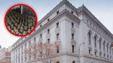 Florida Land Ruling Could Turn Up the Heat on Maine’s Triad Weedย Grow Houses