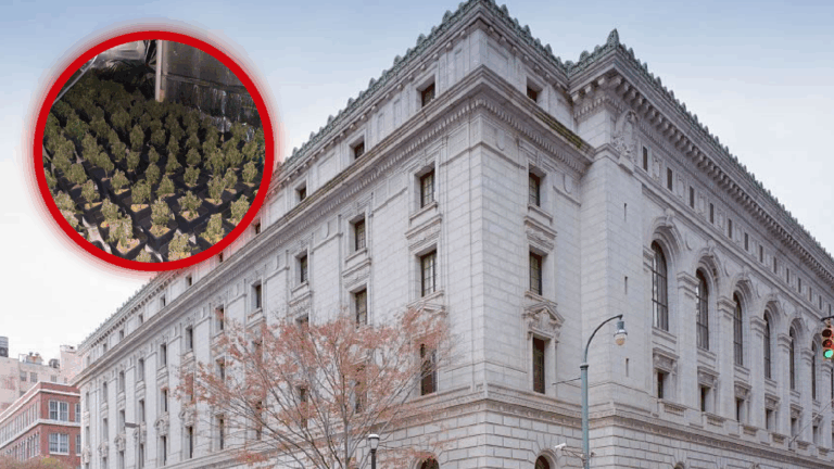 Florida Land Ruling Could Turn Up the Heat on Maine’s Triad Weed Grow Houses