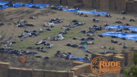 Canadian Police Kill 300 Ostriches To Stop Spread Of Bird Flu, Enraging People Who Secretly Like Ostrich Meat