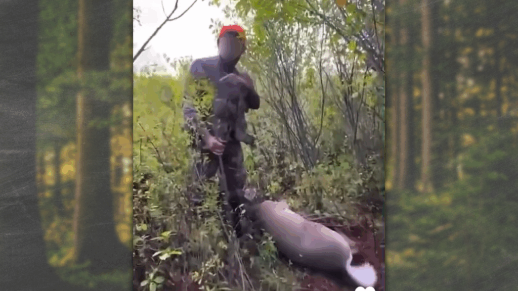 Gorham Woodsman Facing Charges Of Hunting Out Of Season Posted Selfies Online