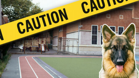 Gray Schools Went on “Lock Out” As Police Searched for Armed Suspect Who Fled Law Enforcement