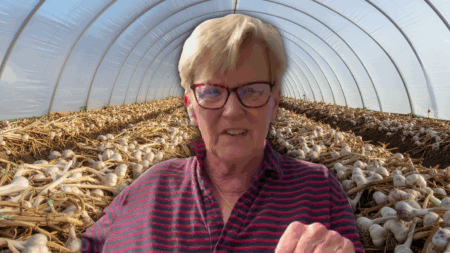 Chellie Pingree’s Lonely Rejection of the Deal to End the Government Shutdown