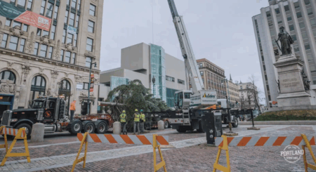 Portland Housing Authority Tree to be Used for Portland Downtown Holiday Tree