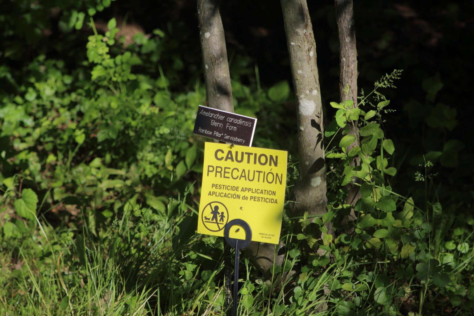 Falmouth Residents Vote to Keep Pesticide and Fertilizer Ban, Approve $13.7 Million for Town Facility Upgrades
