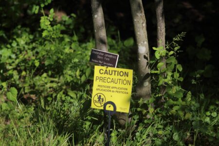 Falmouth Residents Vote to Keep Pesticide and Fertilizer Ban, Approve $13.7 Million for Town Facility Upgrades