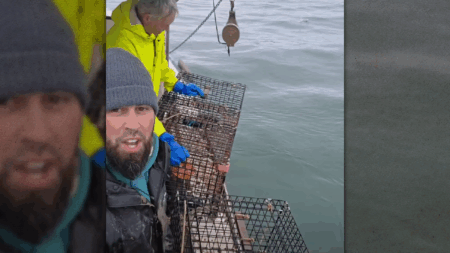 โDowneast Cowboyโ Ends Lobstering Season With a Backache – From Hand-hauling Last Trap