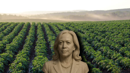 Kamala, Unburdened By What Will Be, Sees A Marble Bust In Her Future (Just Not In Aroostook County)