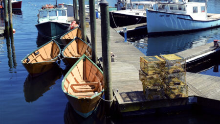 Maine Lobster Industry Fighting Federal Regulator’s Claims Of โOverfishingโ