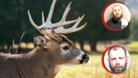 Poachers Busted with Two Dead Deer in Brunswick