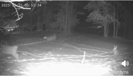 State Remains Silent on Proceedings in Sunny Stewart’s Murder Case, Accused Killer Now an Adult