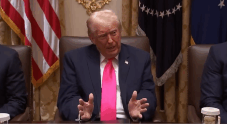 Trumpโs Comments on Somali Immigrants Coincide with Planned Federal Enforcement Operation in Minnesota