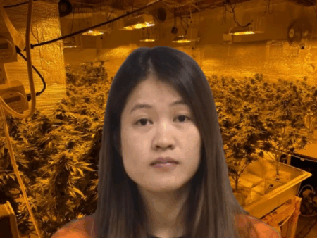 Woman Pleads Guilty to Role in Chinese-Operated Grow-Houses in Norridgewock and Madison