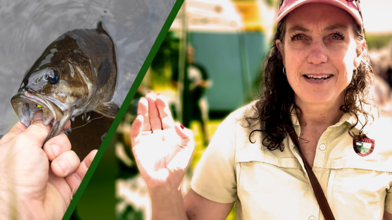 Inland Fisheries and Wildlife Commissioner Who Led DEI Push Resigning at the End of April