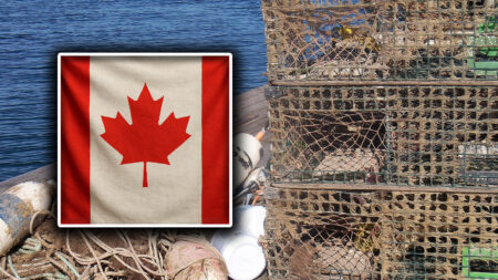 Maine’s Lobstering Neighbors Cracking Down On Stolen Atlantic Catch