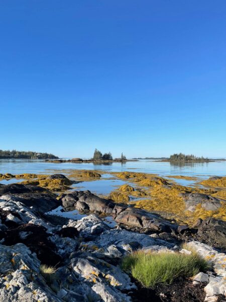 ‘Nothing But Trash:’ Maine Congresswoman Needs To Help Her Adopted Maine Town